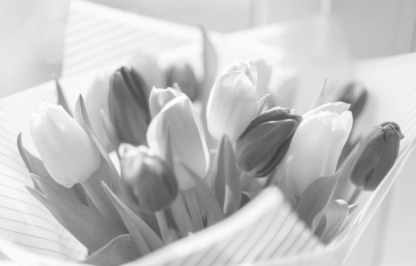 Elegant wedding decoration setup with floral arrangements and lighting